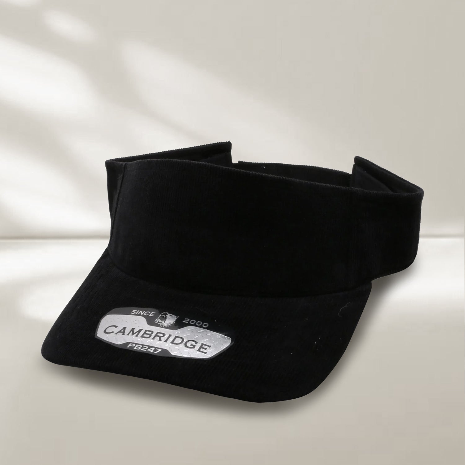 VISOR