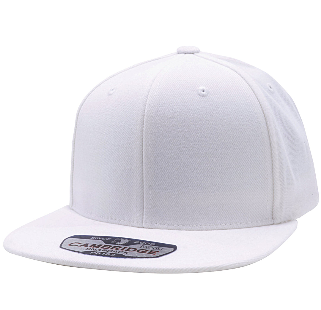 PB103 Wool Blend Snapback - PITBULL TDC
